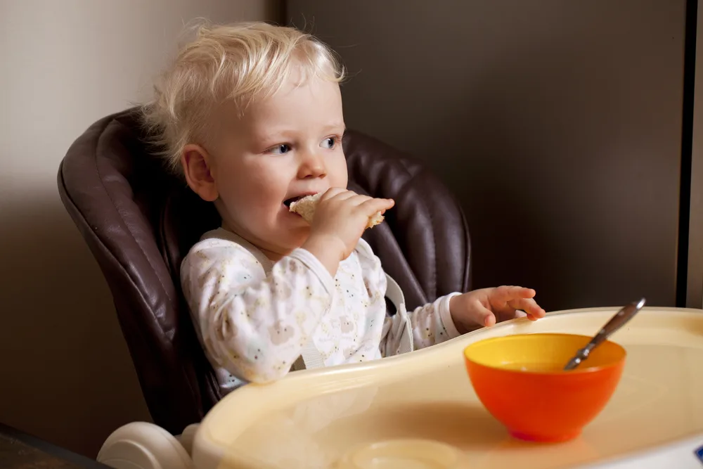 Portrait of blonde baby boy sitting at the dinner table